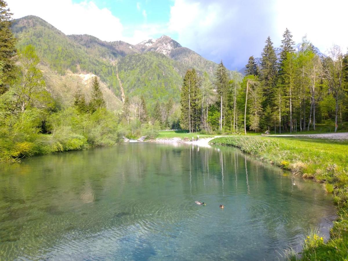 Camping & Glamping Grintovec Preddvor Exterior photo