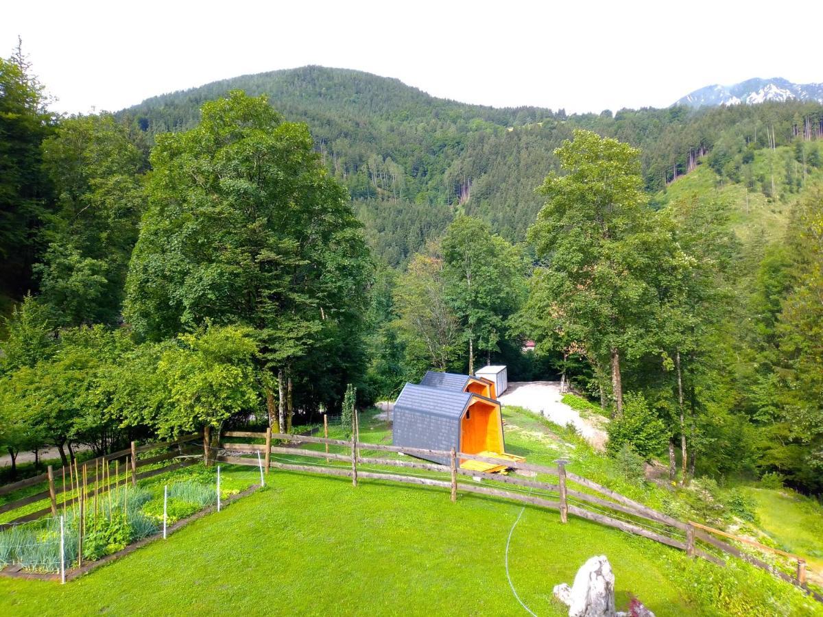 Camping & Glamping Grintovec Preddvor Exterior photo