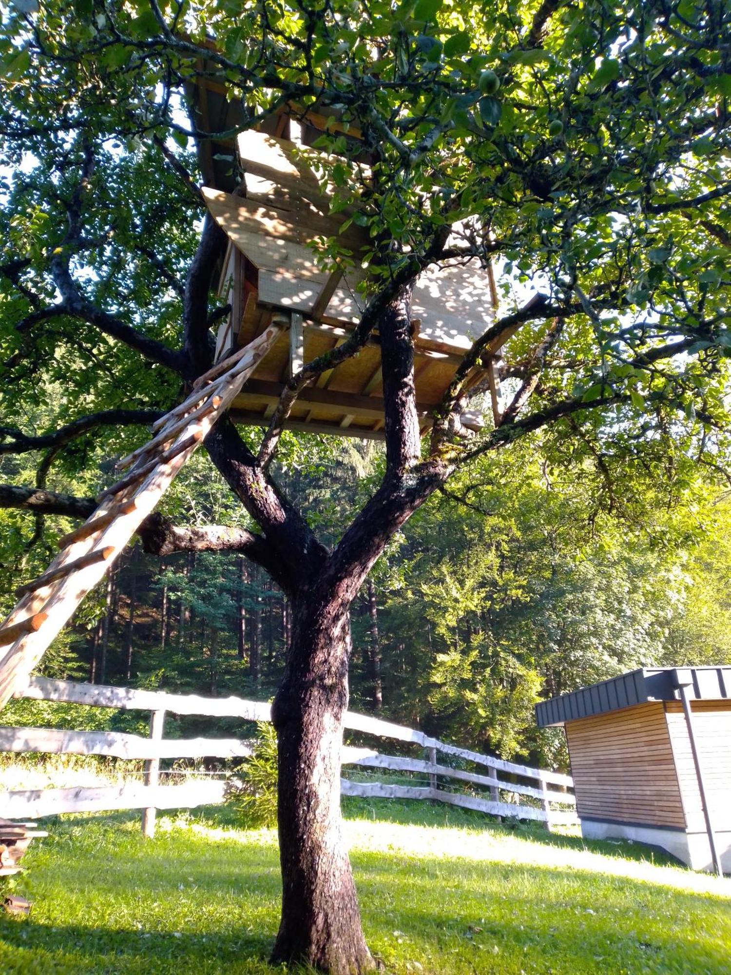 Camping & Glamping Grintovec Preddvor Exterior photo